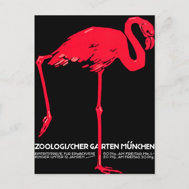München Zoo Garden Flamingo Travel Art Vykort (Framsida)