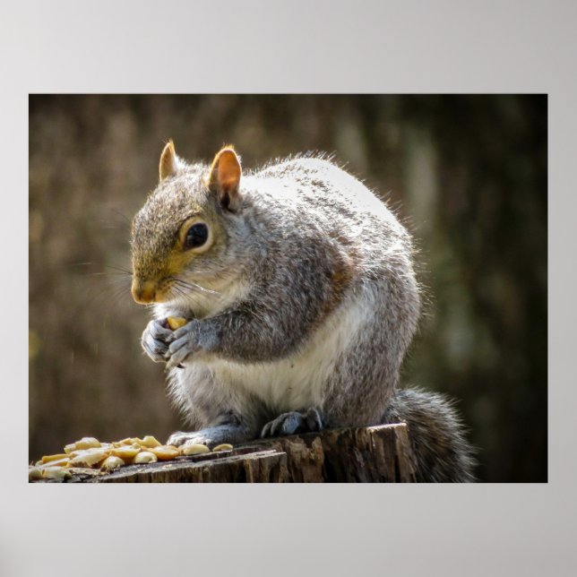 Munchies Poster (Framsidan)