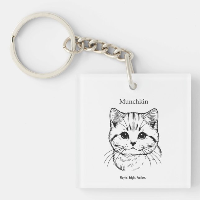 Munchkin Cat Porträtt (Framsidan)