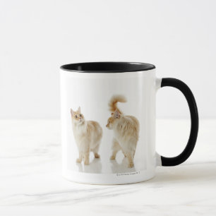 Munchkin katter mugg