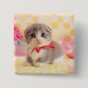 Munchkin kattunge knapp