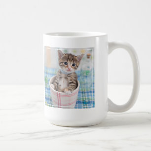 Munchkin kattunge med det nätt bandet kaffemugg