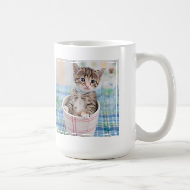 Munchkin kattunge med det nätt bandet kaffemugg (Höger)