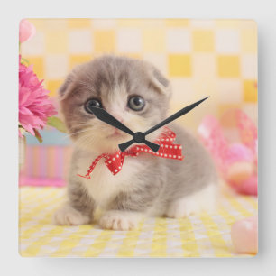 Munchkin Kitten Fyrkantig Klocka