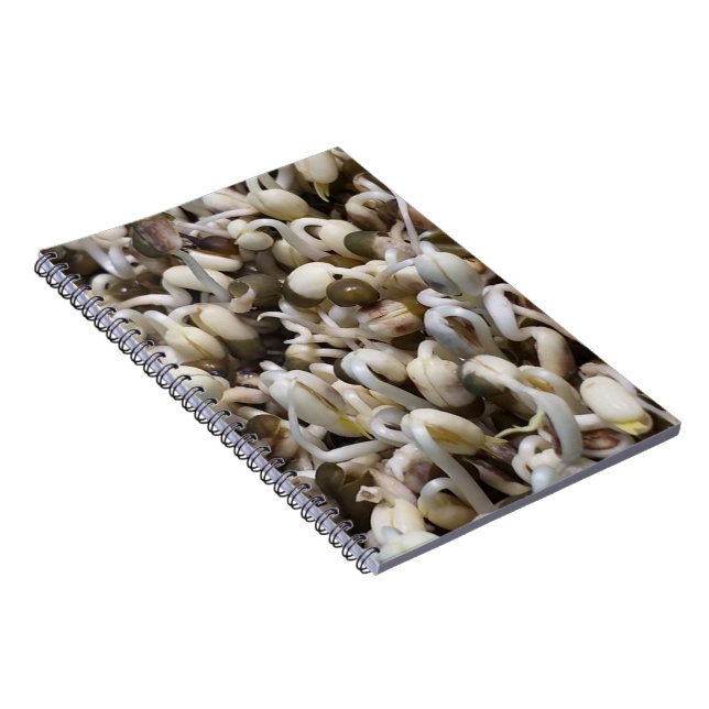 Mung the Beans Anteckningsbok (Högra Sidan)