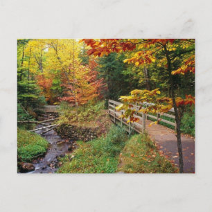 Munising Falls Trail, Alger County, Michigan Vykort