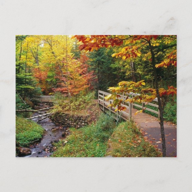 Munising Falls Trail, Alger County, Michigan Vykort (Framsida)
