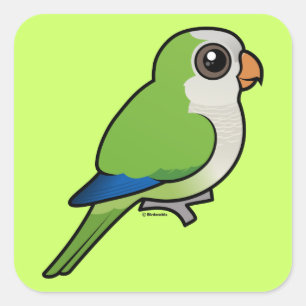 Munk Parakeet Fyrkantigt Klistermärke