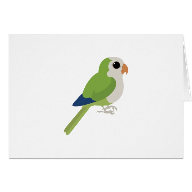 Munk Parakeet OBS Kort (Framsidan Horizontal)