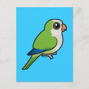 Munk Parakeet Vykort