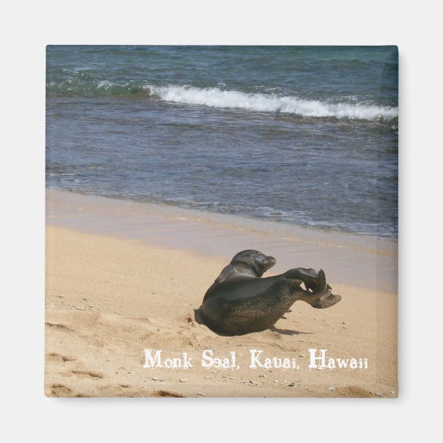 Munk Seal Kauai Hawaii Magnet (Framsidan)