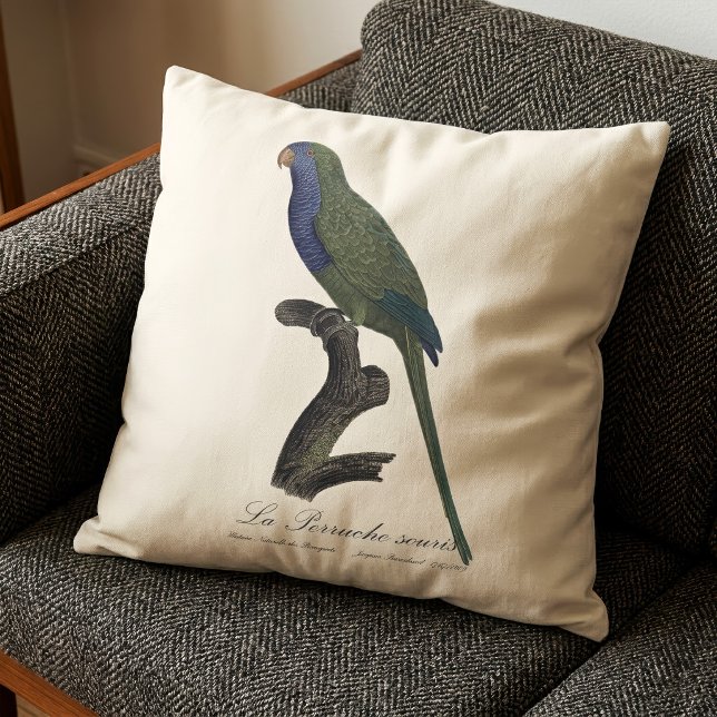 Munkparakit eller munkpapegoja, Myiopsitta monachu Kudde (Monk Parakeet or Monk Parrot, Myiopsitta Monachus. Throw Pillow)