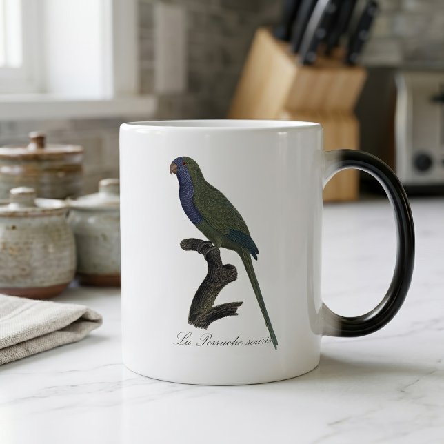 Munkparakit eller munkpapegoja, Myiopsitta Monachu Magisk Mugg (Monk Parakeet or Monk Parrot, Myiopsitta Monachus. Color Morph Mug)