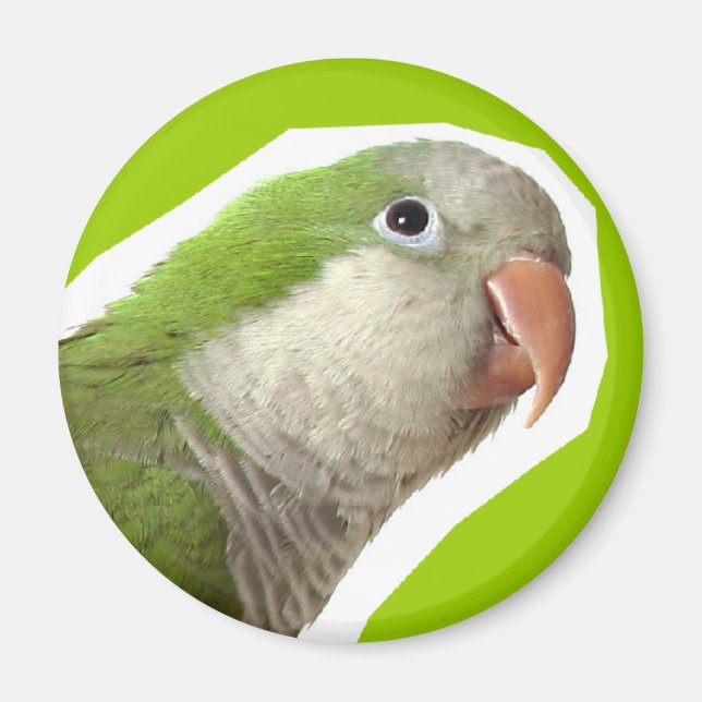 Munkparakit Magnet (Framsidan)