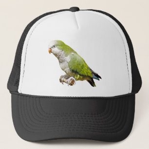 Munkparakiter Truckerkeps