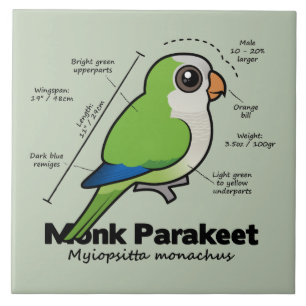 Munkparakiterstatistik Kakelplatta