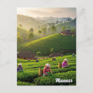 Munnar Kerala India Tea Plantation Vykort