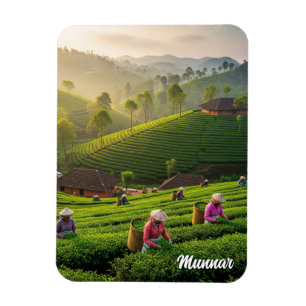 Munnar Kerala Indien Teplantage Magnet