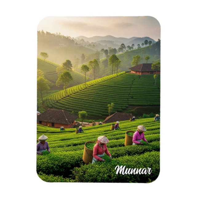 Munnar Kerala Indien Teplantage Magnet (Vertikal)