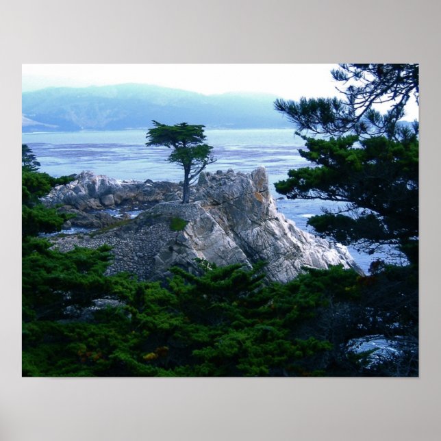 munterhet träd poster (Framsidan)