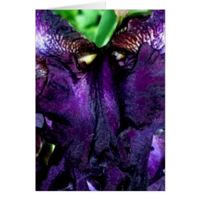 muppet ansikte hälsningskort (Framsidan)