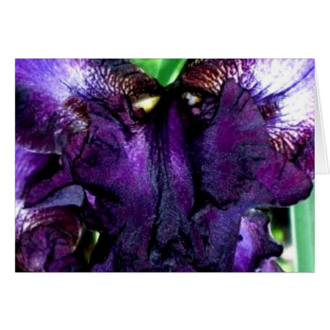 muppet ansikte hälsningskort (Framsidan Horizontal)