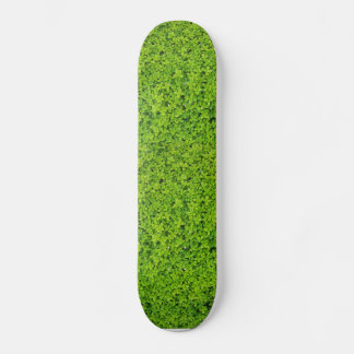 Mur Bakgrund av Murgröna Skateboard Bräda 20 Cm