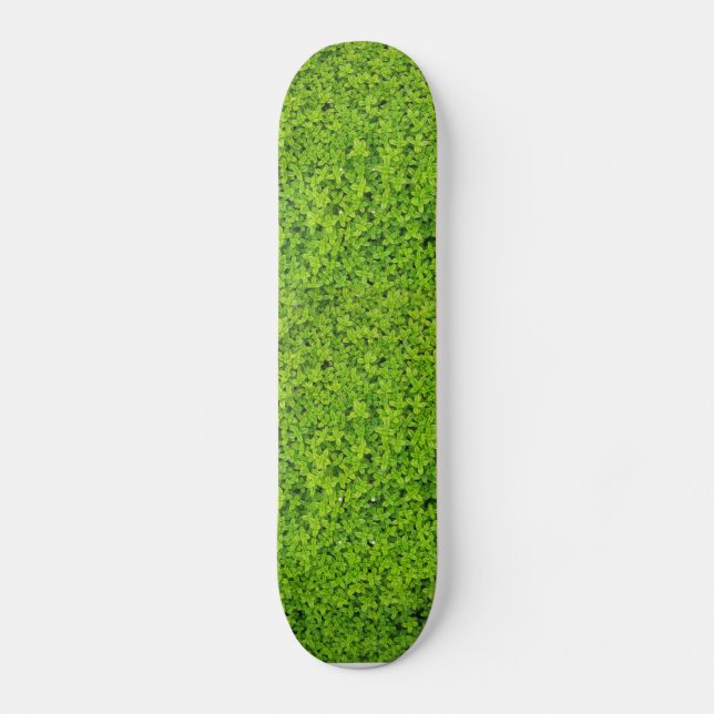 Mur Bakgrund av Murgröna Skateboard Bräda 20 Cm (Framsida)