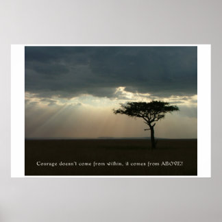 Mur från ovan poster