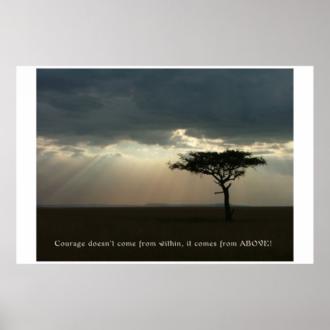 Mur från ovan poster (Framsidan)