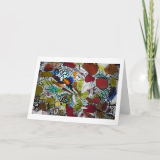 Murano fusion specificerar studien kort