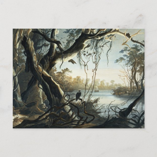 Muren i floden Fox, Indiana, tallrik 5 från Vykort (Framsida)