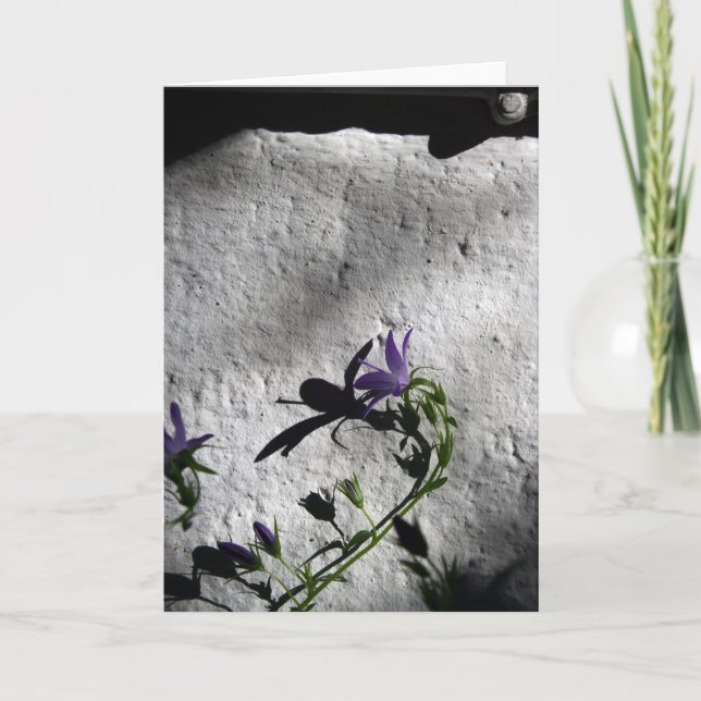 Muren med Bellblommor - Sympatiskort Tack Kort (Framsida)