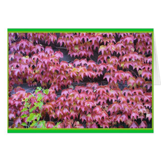 Murgröna Leaques Hälsningskort