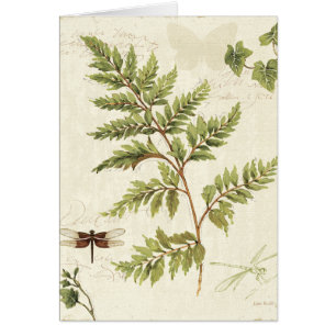 Murgröna och Ferns Hälsningskort