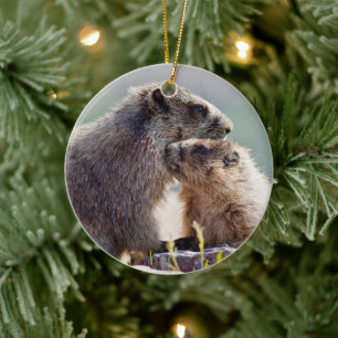 Murmarmurmoder med unge julgransprydnad keramik