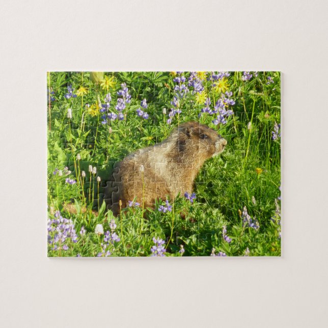 Murmeldjur i Mount Rainier Wildflowers Pussel (Horisontell)
