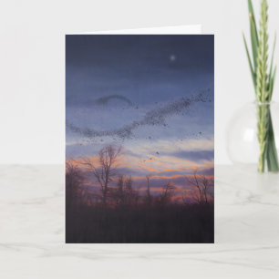 Murmuration helgdagkort helgkort