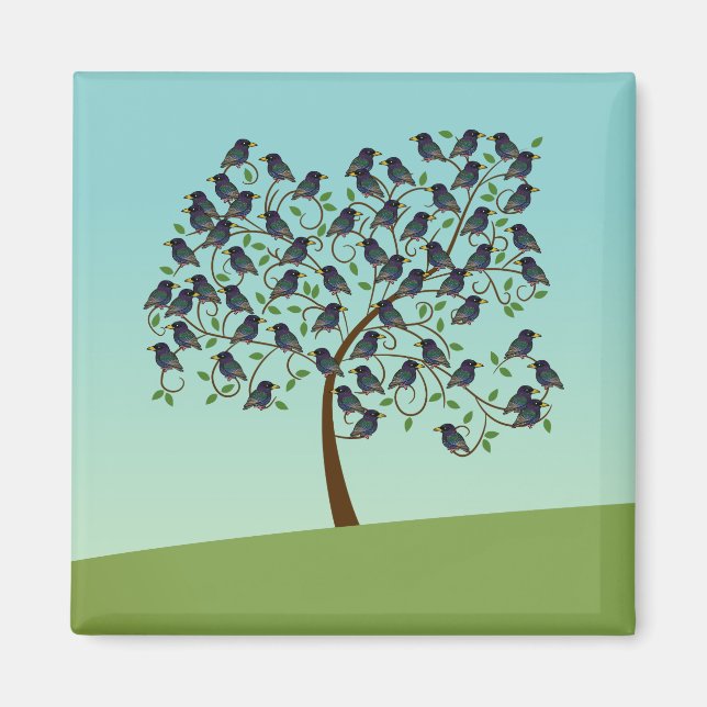 Murning av Starlings Magnet (Framsidan)