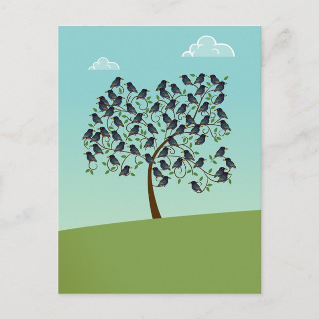 Murning av Starlings Vykort (Framsida)