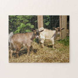 Murphy and Corky Pussel