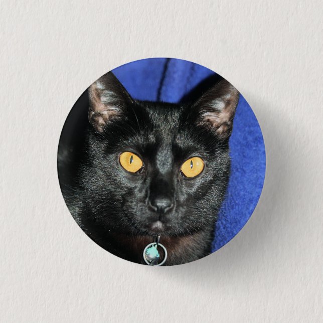 Murphy Knapp (Framsida)