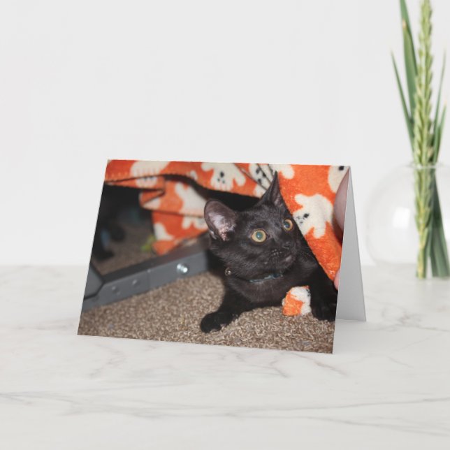 Murphy Kort (Framsida)