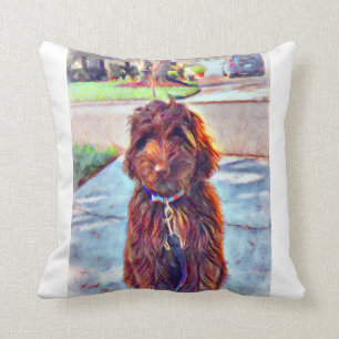 Murphy the Labradoodle Kudde