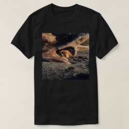 Murphylikestohide T Shirt