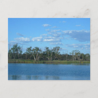 Murray River SA Postcard Vykort