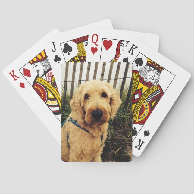 Murray som leker kort casinokort (Baksidan)