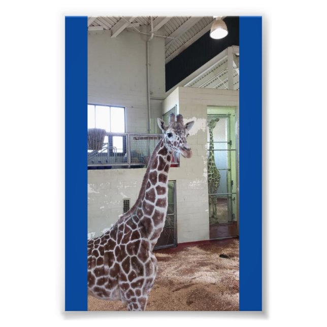 Mus 4X6 Skriv ut #1 Fototryck (Framsidan)