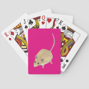Mus Casinokort