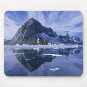 Mus för reflektion av berg musmatta